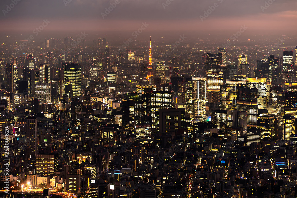 Tokyo Tower with skyline cityscape in Tokyo, Japan at night