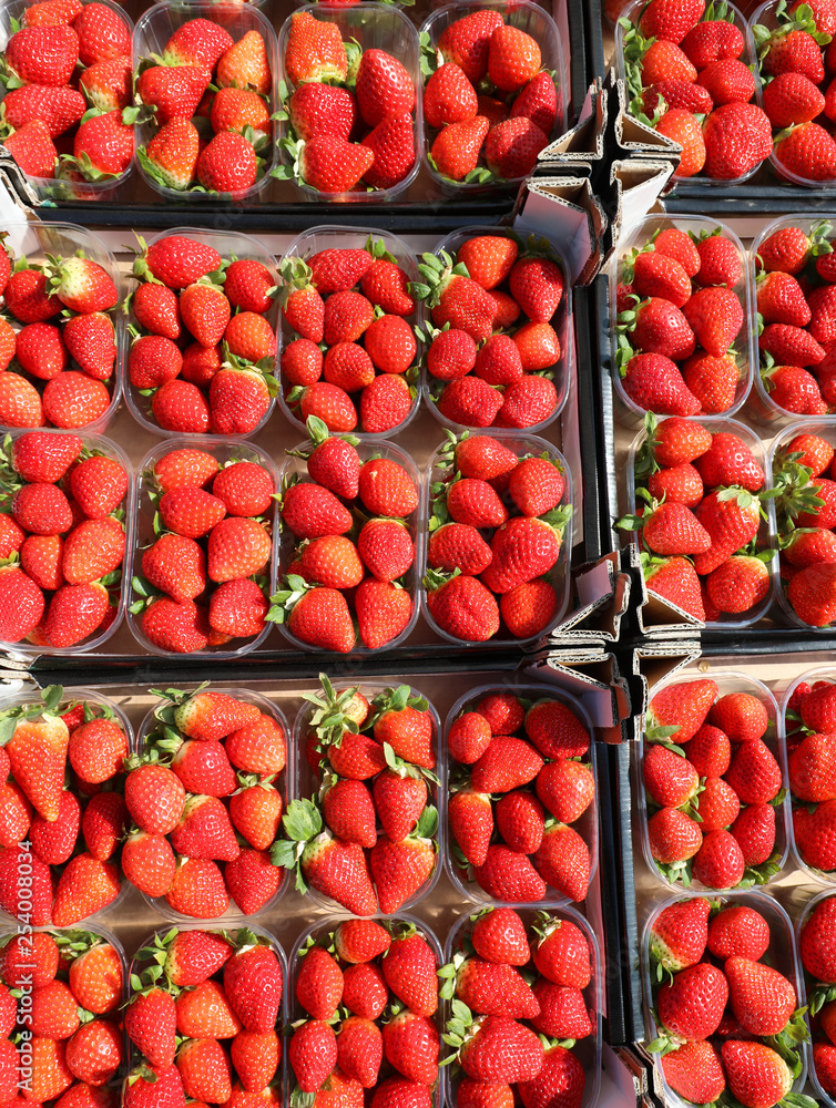 background of many tubs of red ripe strawberries for sale background of many tubs of red ripe strawberries for sale