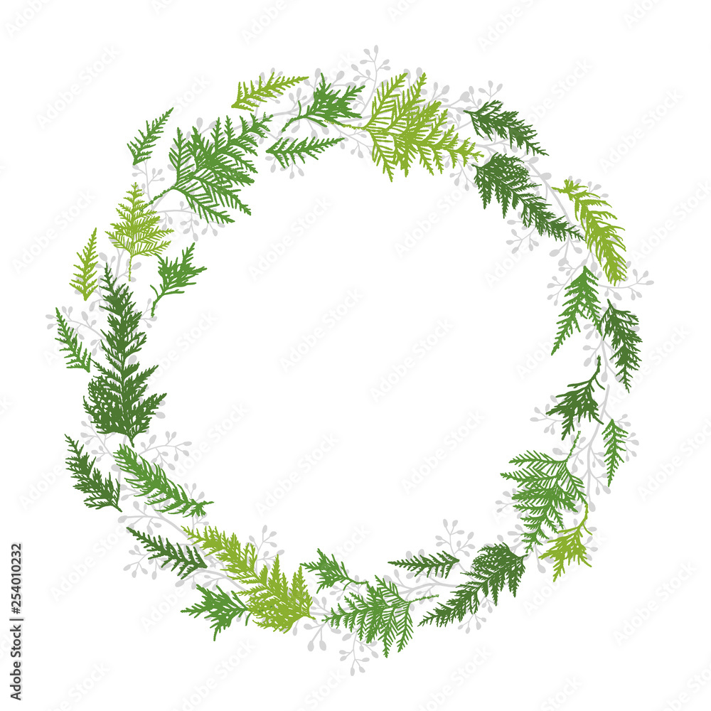 Circle frame of green leaves of thuja, cypress. Circle frame of green leaves of thuja, cypress.