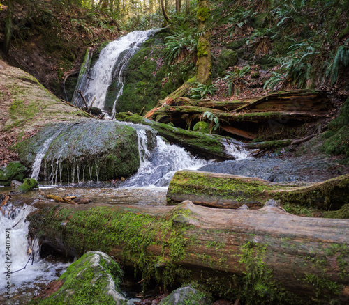 Fototapeta Naklejka Na Ścianę i Meble -  waterfall in nature