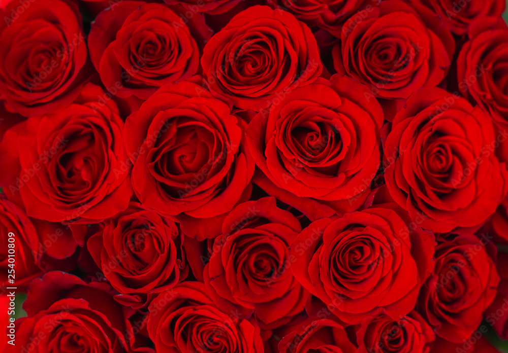 bouquet of red roses in a white box on a white background pattern bouquet of red roses in a white box on a white background pattern
