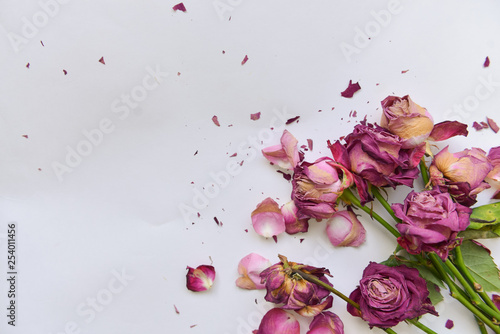 angular composition of dry red roses, scattered dead bouquet, vent style, antivalentinin day, holidays are over