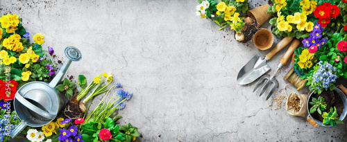 Gardening tools and spring flowers on the terrace