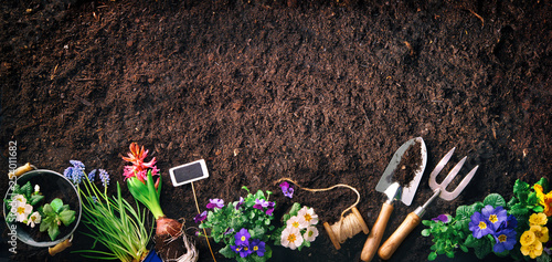 Fototapeta Naklejka Na Ścianę i Meble -  Gardening tools and flowers on soil