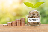 Coin stack, and money jar with plant on blur green tree background mortgage saving concept