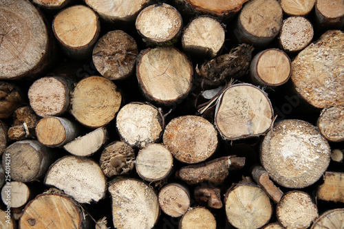 pile of wood closeup
