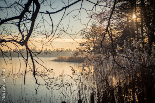 Lake winter landscape with branches in the foreground