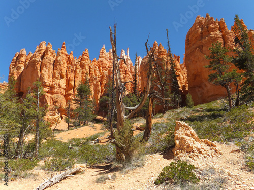 Bryce canyon hoodos photo