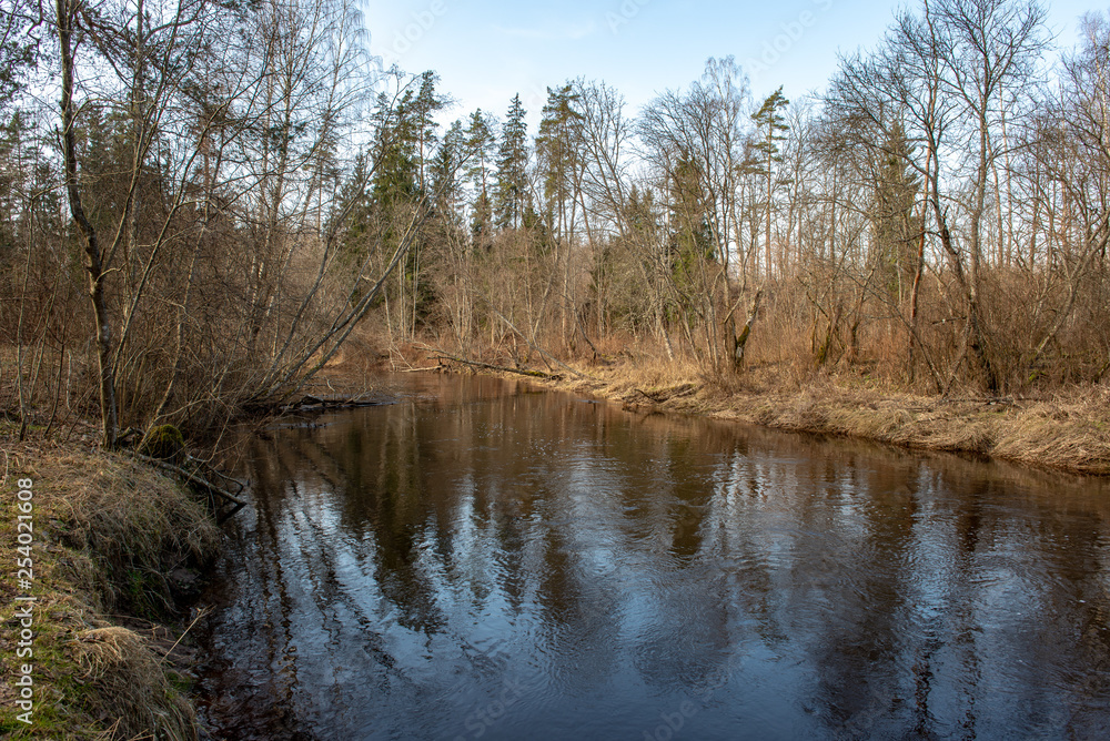 river of gauja in latvia in winter with floating ice blocks