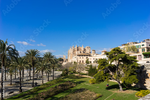 The Cathedral of Santa Maria of Palma