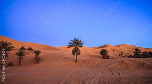 Orange Sands of the Sakhara Desert and Blue Sky, Algeria