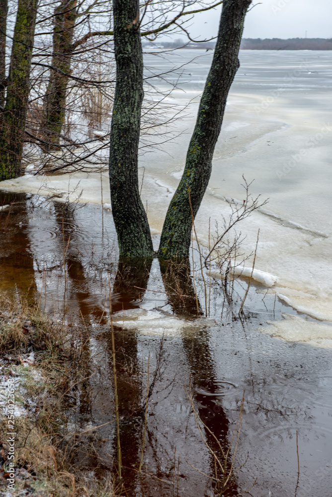 Fototapeta premium frozen bodies of water in deep winter under snow