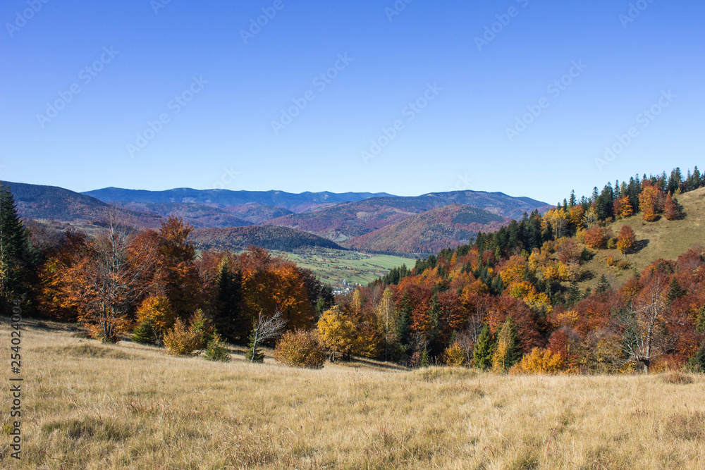 Autumn in Carpatians mountains Ukraine Lypovitca Autumn in Carpatians mountains Ukraine Lypovitca