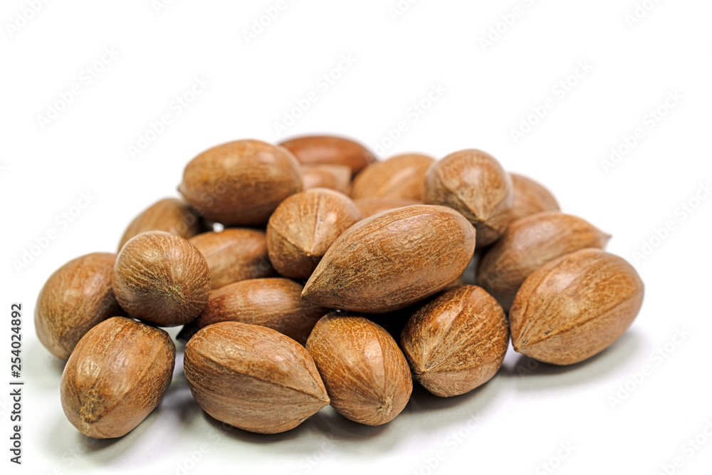 Pekannüsse, Carya illinoinensis, isoliert vor weißem Hintergrund Pekannüsse, Carya illinoinensis, isoliert vor weißem Hintergrund