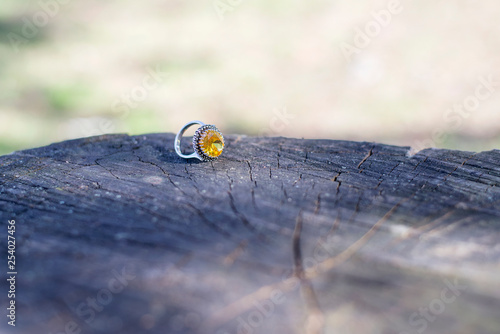 Ring for woman in nature background