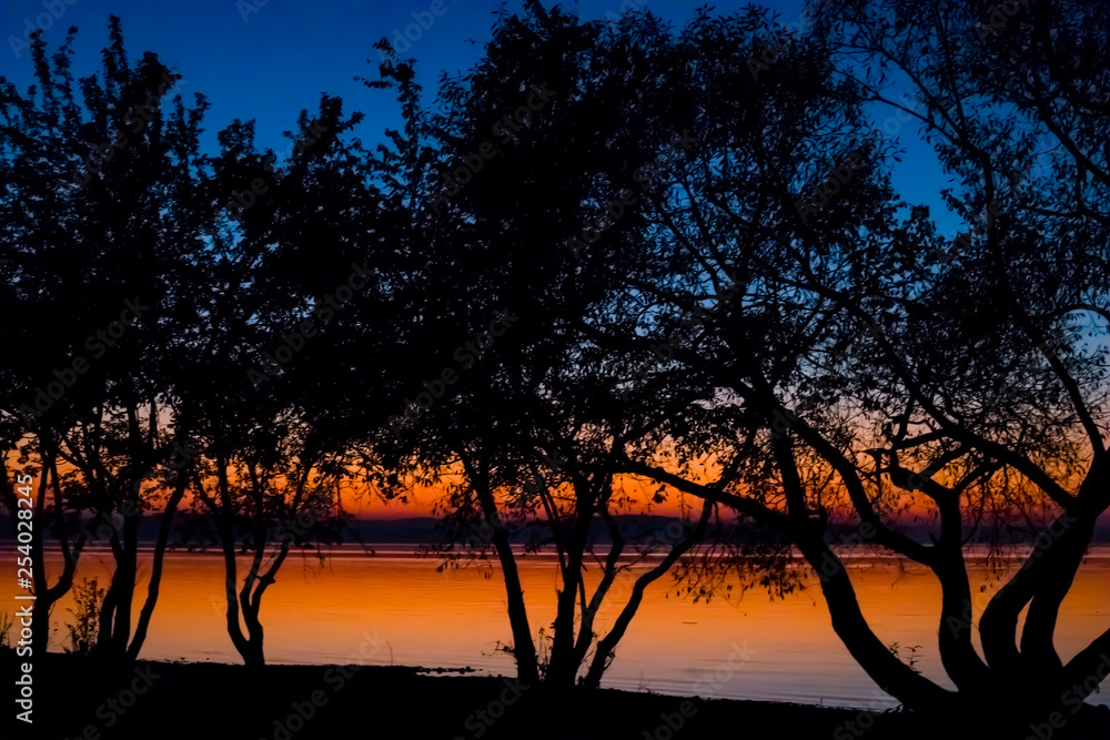 Incredible, bright sunset over the water against the background of which the silhouette of a large tree. Minsk Sea, Belarus