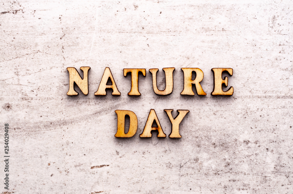 Inscription NATURE DAY in wooden letters on a light background