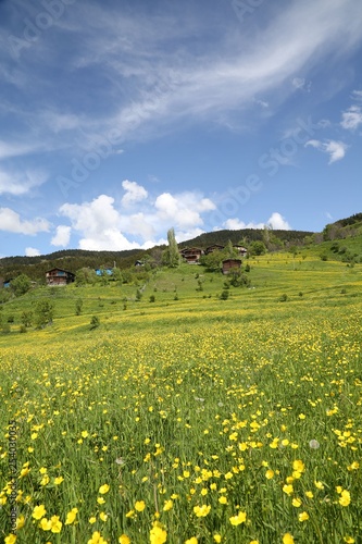 Spring Landscape Photos.savsat artvin turkey