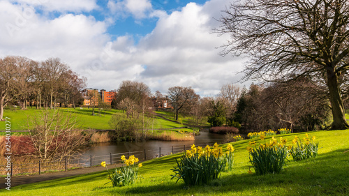 Springtime in Phoenix Park, Dublin, Ireland. Spring scene on a beautiful sunny day with bloomed daffodils, green grass leafless trees and a lake. Nature rebirth after the winter.