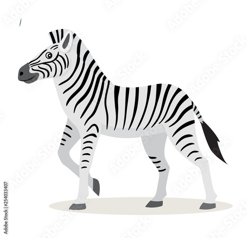 African animal  cute funny zebra icon isolated on white background  vector
