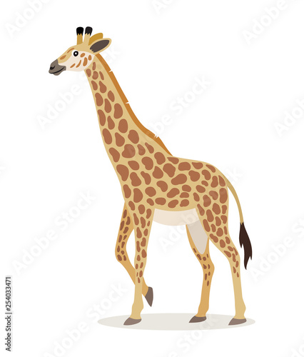 African animal, cute giraffe icon isolated on white background, animal with long neck, vector