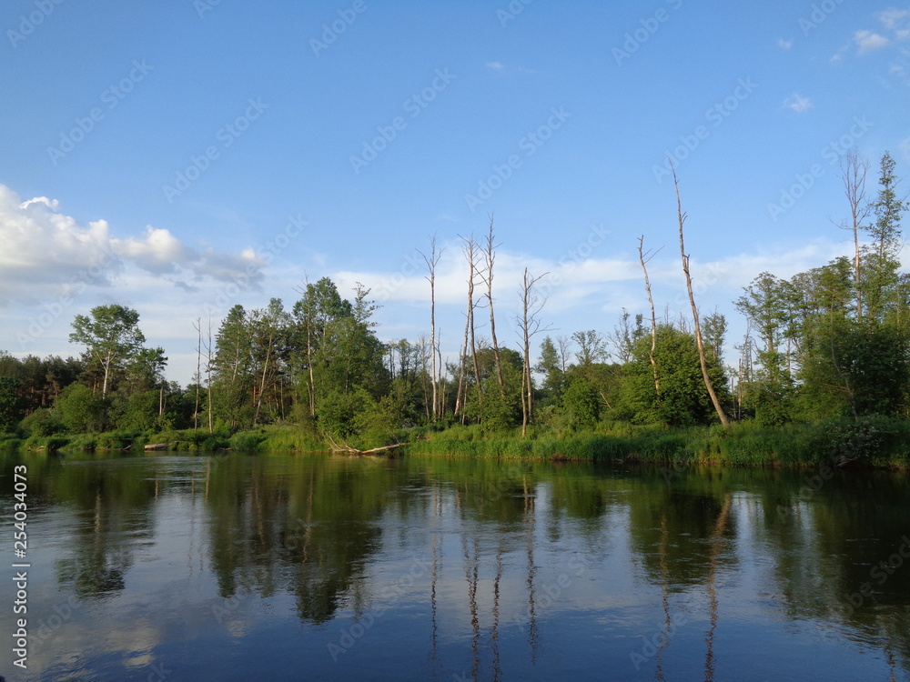 Obraz premium Nadliwie