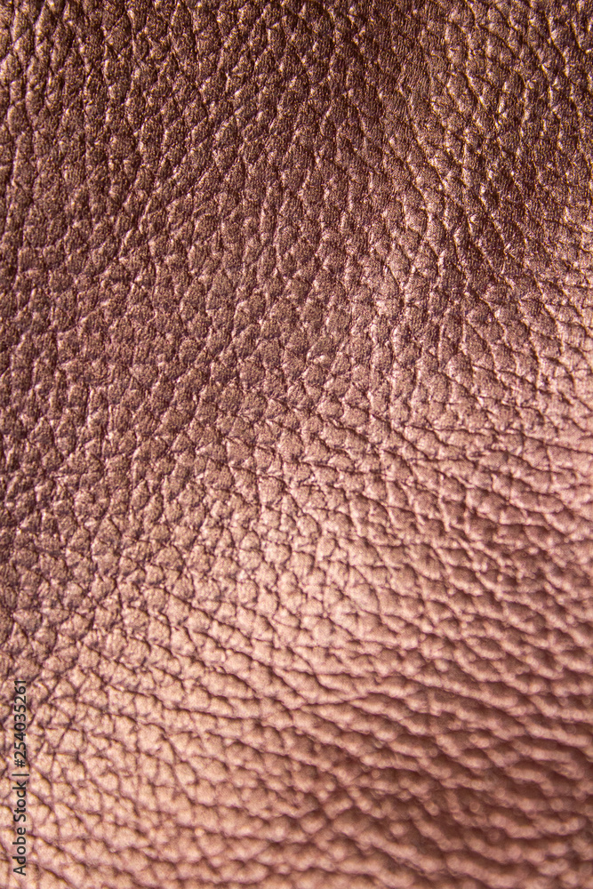 Brilliant reflective painted leather surface. Brilliant reflective painted leather surface.