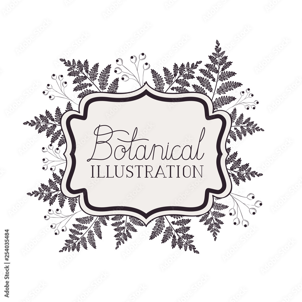 botanical illustration label with plants botanical illustration label with plants