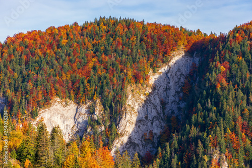 forested mountain with cliff in autumn. beautiful nature scenery in evevning photo