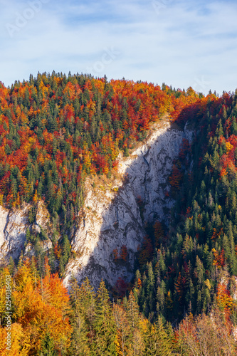 forested mountain with cliff in autumn. beech and spruce trees on a steep slope. beautiful nature scenery in evevning photo