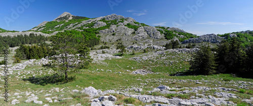 Berglandschaft im Nationalpark Lovćen photo