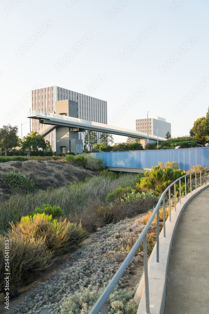 Newport Beach Skyline & Park 