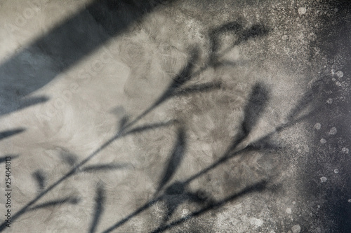 The sun light is casting over gray concrete wall, sunshade shadow of leaves. ...