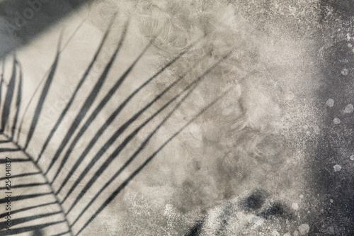 The sun light is casting over gray concrete wall, sunshade shadow of palm lea...
