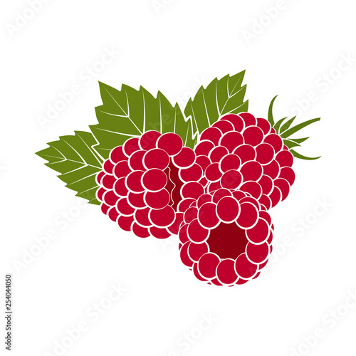 Red raspberries with green leaves closeup on a white background