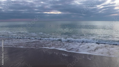 A flock of seagulls swims on the sea not far from the coast.