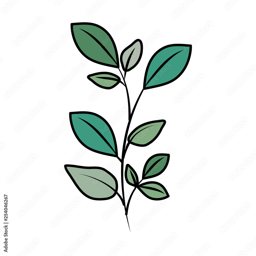 branch with leafs plant branch with leafs plant