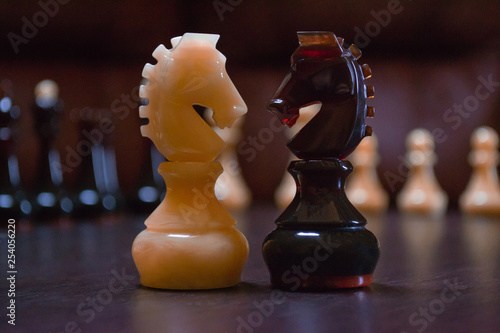 Black and white chess knights in opposition on a chess board photo