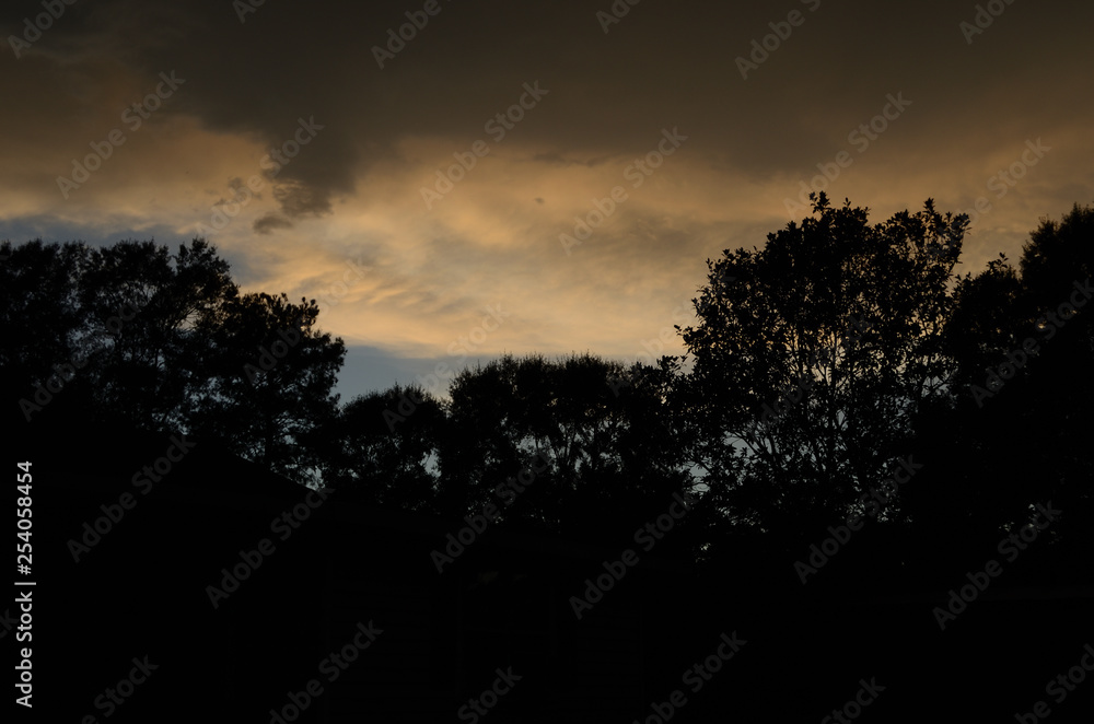 Louisiana sunset, dark clouds and trees