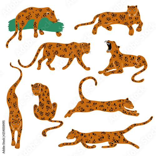 Set Of Isolated Leopard Icons.