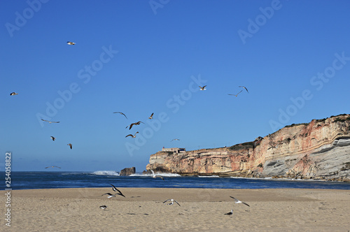 Nazar   beach  Portugal