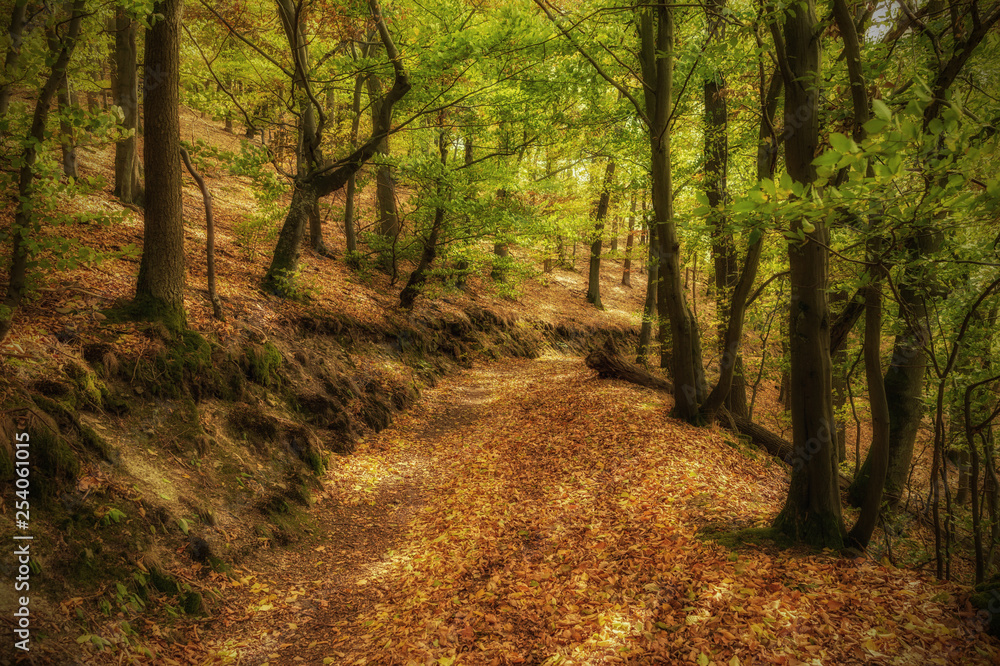 Obraz premium André