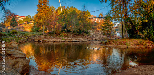 autumn in the park