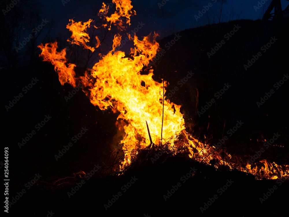 fire. wildfire, burning pine forest in the smoke and flames. fire. wildfire, burning pine forest in the smoke and flames.