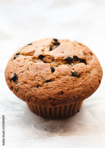 Freshly baked Chocolate Chip Muffin or cupcake from coffee shop, cafe or bakery in Williamsburg, Brooklyn, New York City, close up with selective focus