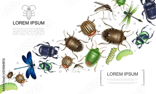 Realistic Insects Colorful Collection