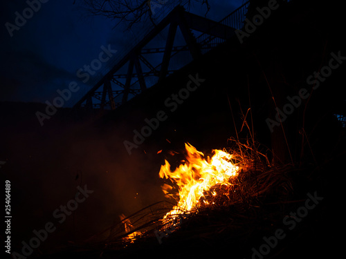 fire. wildfire, burning pine forest in the smoke and flames.