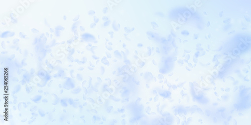 Light blue flower petals falling down. Perfect rom