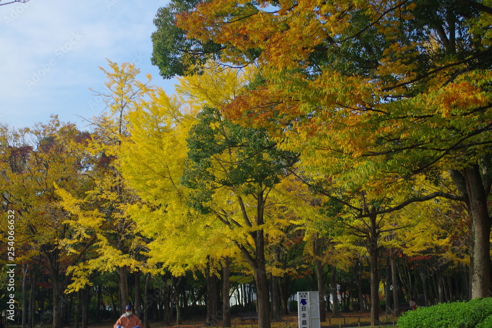 Obraz premium 紅葉 公園 堺市