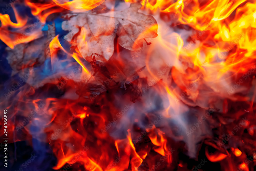 Abstract image of fire flames background. Close up.